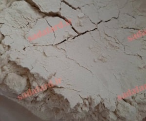 گلوتن چیست ؟