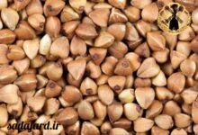 دانه گندم سیاه چیست