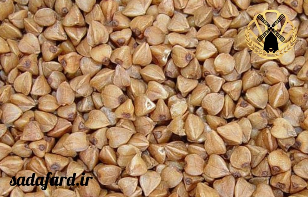 گندم سیاه بسیار پرفیبر و دارای انرژی بسیاری می باشد.