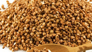 دانه گندم سیاه چیست؟