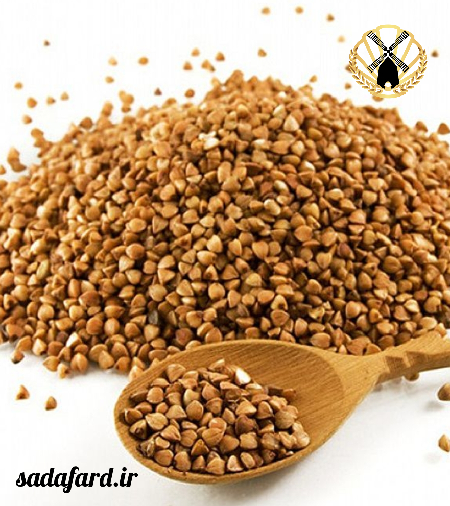 خرید گندم سیاه به صورت خرده و عمده ، اینترنتی و حضوری انجام می شود.