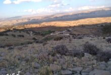 روستا چفته ایلام