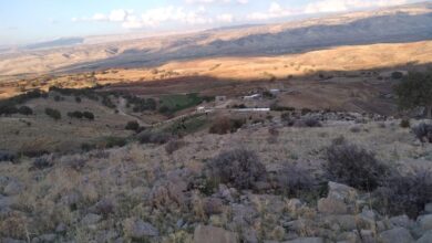 روستا چفته ایلام