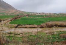 روستا سنگ سفید ایلام