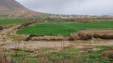 روستا سنگ سفید ایلام