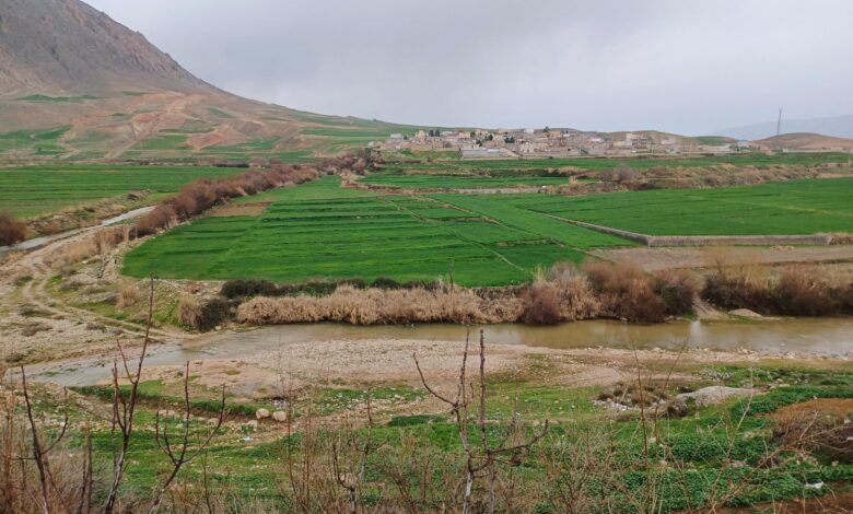 روستا سنگ سفید ایلام