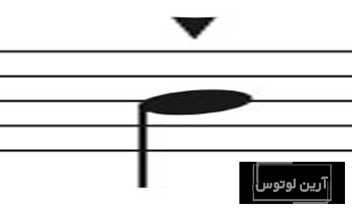 استکاتیسیمو