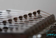 دانستی های جالب در مورد سیم های سنتور