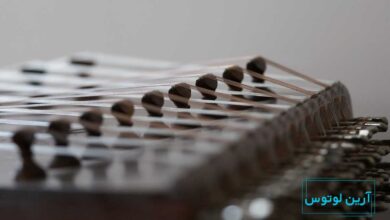 دانستی های جالب در مورد سیم های سنتور