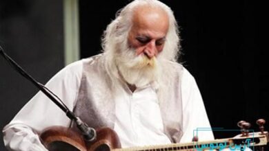 بیوگرافی محمدرضا لطفی