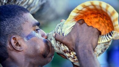 ساز عجیب حلزونی