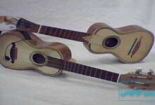 معرفی ساز کاواکینیو