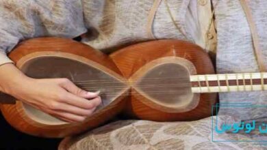 بهترین آموزش سه تار در شرق تهران