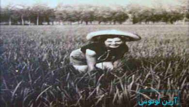 تاریخچه آهنگ بلا چاو