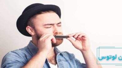 حقایق جالب درباره ساز دهنی