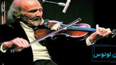 بیوگرافی محمود ذوالفنون