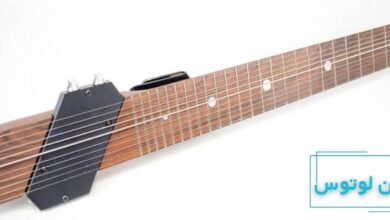 ساز چپمن استیک