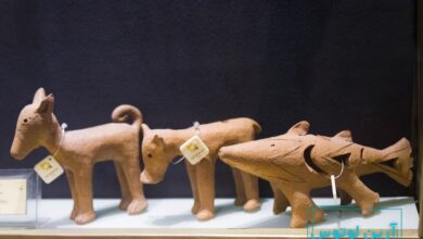 ساز سوتک، یکی از ابتدایی ترین سازهای بادی