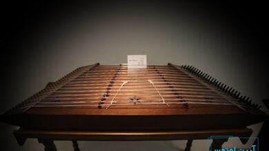 سازهای ابداعی استاد شجریان