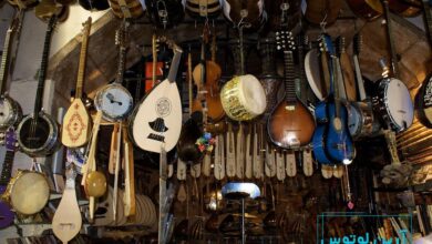 انواع ساز های ایرانی