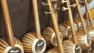 نکات یادگیری کمانچه