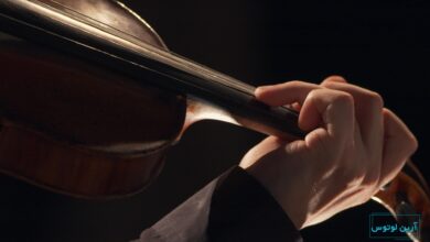 بیوگرافی نسیم دارا مدرس و نوازنده ویولن