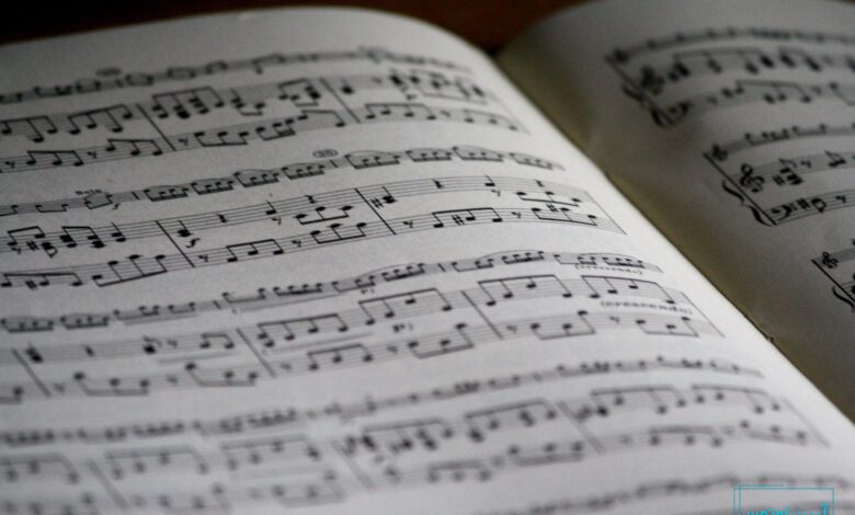 انواع تقسیم بندی در موسیقی