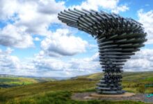 درخت آوازه خوان در انگلیس