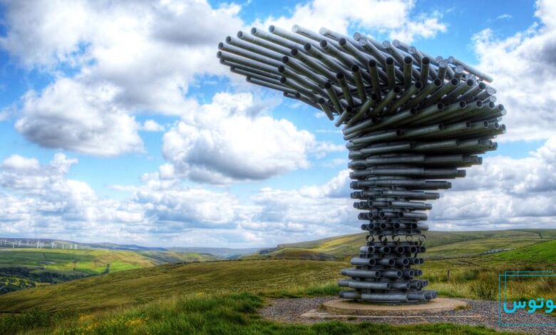 درخت آوازه خوان در انگلیس