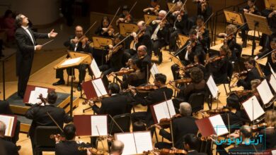 موومان به چه معناست؟