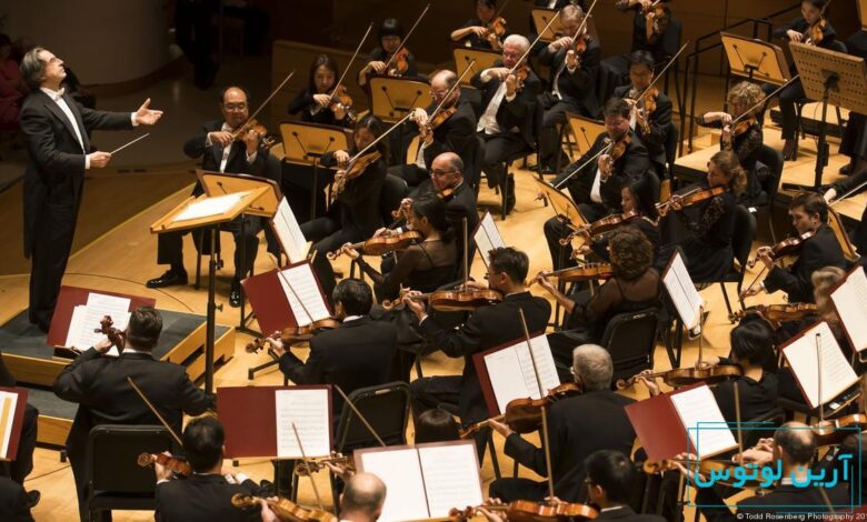 موومان به چه معناست؟