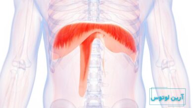 تنفس دیافراگمی در خوانندگی