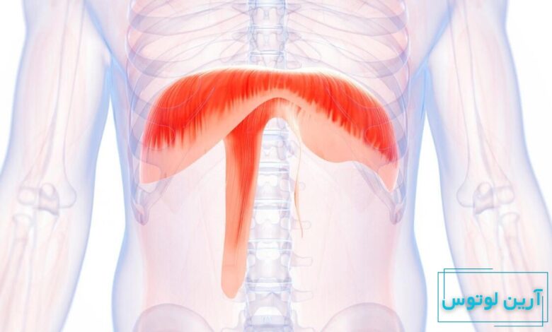 تنفس دیافراگمی در خوانندگی