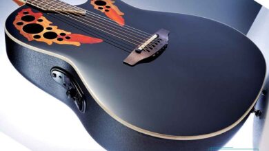 گیتار آویشن چیست؟