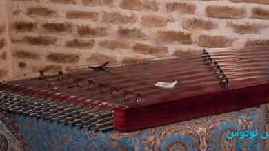 تمیز کردن سنتور