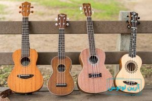 آیا جنس فرت ها درگیتار از نقره است؟