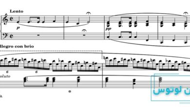 اتود در موسیقی چیست