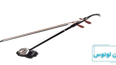 معرفی ساز ارهو یا کمانچه چینی