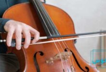 اصول نگهداری از ویولنسل