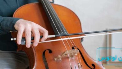 اصول نگهداری از ویولنسل