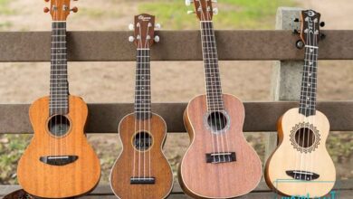 آشنایی با انواع ساز اوکوله له