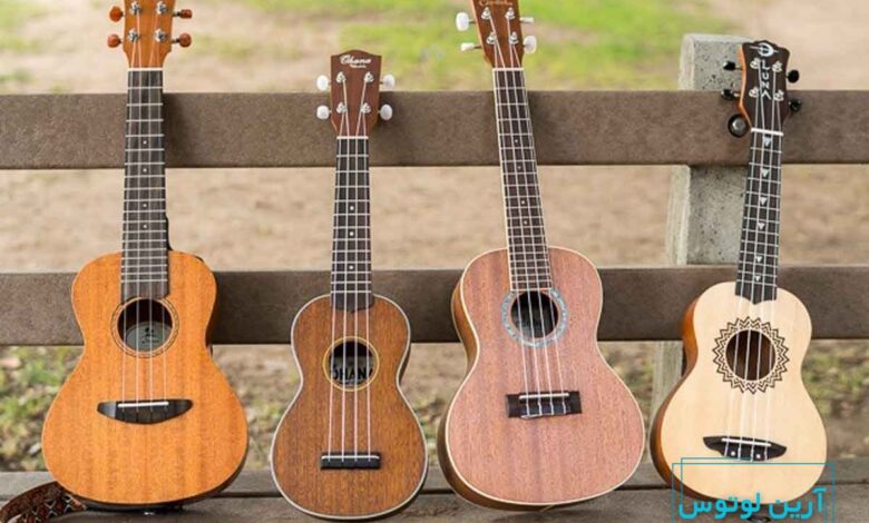 آشنایی با انواع ساز اوکوله له