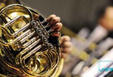 تاریخچه تکامل ساز هورن