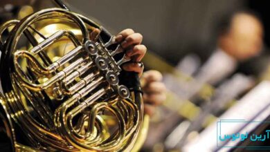 تاریخچه تکامل ساز هورن