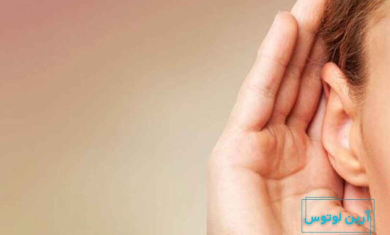 موزیکالیته به چه معناست؟