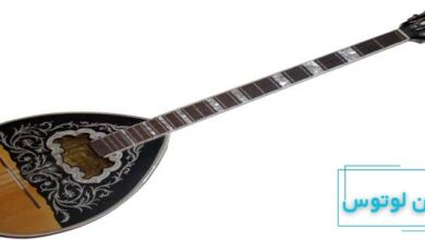 معرفی ساز بوزوکی