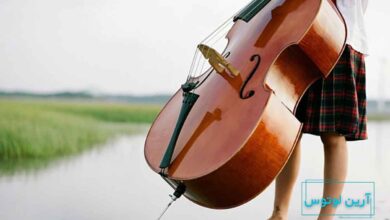 یادگیری ویلون راحت تر است یا ویولنسل؟