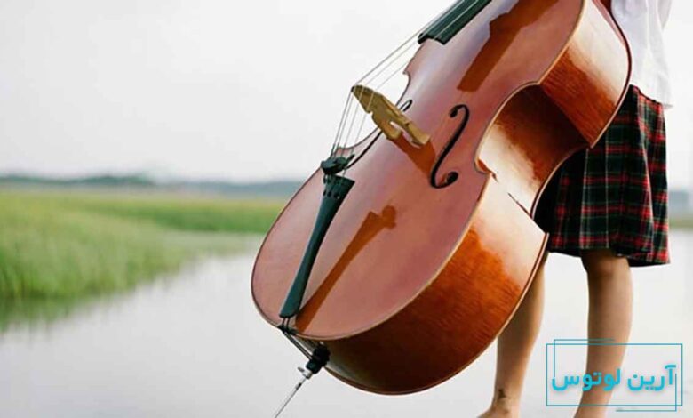 یادگیری ویلون راحت تر است یا ویولنسل؟