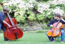 تفاوت ویولن سل و کنترباس