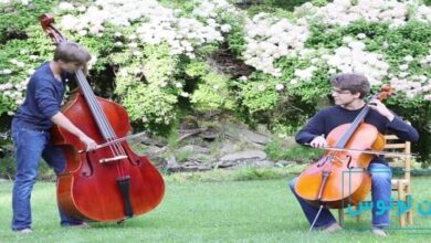 تفاوت ویولن سل و کنترباس